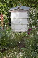 Ruches d'abeilles et plantation de prairies en parterre de fleurs.