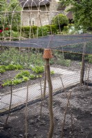 Cage à fruits avec filet pour arrêter les oiseaux