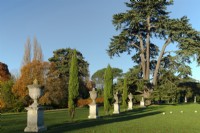 Une pelouse avec une ligne d'urnes en pierre sur des socles intercalés de conifères, au-delà du spécimen de cèdre bleu de l'Atlantique du Liban à Chiswick House and Garden