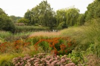 Bandes de Sedum 'Matrona', Helenium autumnale 'Rubinzwerg' et Persicaria amplexicaulis 'Rosea' dans le champ Oudolf dans le Millennium Garden du parc naturel de Pensthorpe.