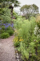 Parterre de fleurs avec Helianthus salicifolius et rudbeckias en août