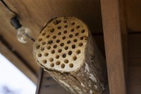 Un hôtel à abeilles fait maison, installé dans les chevrons d'une maison d'été, attire les abeilles solitaires.