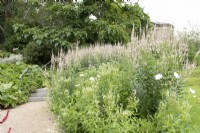 Parterre de fleurs blanches à l'American Museum Garden - Bath - août