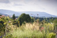 Jardin de gravier rempli de plantes herbacées vivaces et de graminées, avec vue sur les collines du Monmouthshire au-delà à Highfield Farm en août.