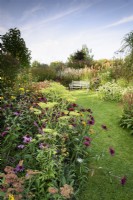 Parterre plein de plantes herbacées vivaces et graminées à Highfield Farm en août, y compris patrinia et échinacées.