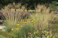 Stipa gigantea et Achillea 'Cloth of Gold' dans le jardin italien de Trentham Gardens - septembre
