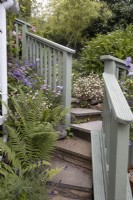 Les fougères, l'ostéospermum, la campanule et la vergerette adoucissent les bords des marches de ce jardin côtier. Un jardin NGS. Juillet. Été.
