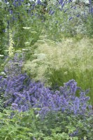 Parterre de fleurs avec Nepeta Summer Magic et Stipa calamagrostis dans le jardin Iconic Horticultural Hero. Une prairie vivace résistante au climat. Festival des fleurs de Hampton Court 2021