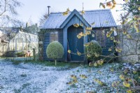 Vue sur studio de jardin et serre de style traditionnel dans un jardin sauvage en hiver avec Chimonanthus praecox Grandiflorus' en fleur. Janvier