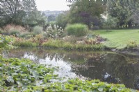Vue sur grand étang avec Nymphaea syn. nénuphars en automne. Marginaux. Parterre de graminées ornementales et Hydrangea paniculata de l'autre côté. Pelouses au-delà. Reflets dans l'eau.