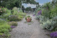 Jardin d'herbes aromatiques à Goldstone Hall Hotel, Shropshire - juin