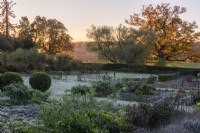Le potager en fin d'automne, saupoudré de givre. Bordure végétale avec cordons enjambeurs de pomme. Dans le parc au-delà, un grand chêne anglais, Quercus robor, illuminé par le soleil de l'aube.