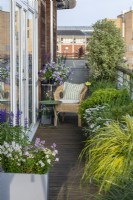 Un balcon étroit est bordé de jardinières composées principalement d'arbustes et d'arbres à feuilles persistantes, avec des touches de couleur provenant d'annuelles et de vivaces.