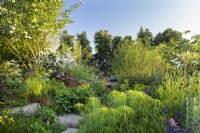 RHS Garden pour un avenir vert. Conçu par Jamie Butterworth. RHS Hampton Court Palace Garden Festival Show, juillet 2021