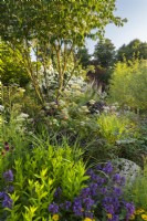 RHS Garden pour un avenir vert. Conçu par Jamie Butterworth. RHS Hampton Court Palace Garden Festival Show, juillet 2021
