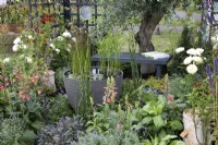 'From Hippocrates to Vaccines' au BBC Gardener's World Live 2021 - étang dans un grand pot au milieu d'une plantation mixte