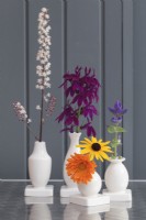 Fleurs colorées de fin d'été dans des vases à bourgeons contre un mur en bois gris - septembre