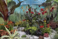 'In Memento' au BBC Gardener's World Live 2021 - feuilles et fleurs tropicales aux couleurs chaudes