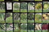 Une variété de graines de légumes et de salades à vendre dans un centre de jardinage.