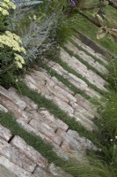'The Earth Smiles with Flowers' au BBC Gardener's World Live 2021 - jardin de cottage avec chemin rustique en briques entrecoupées de camomille
