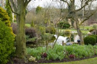 L'étang de John's Garden à Ashwood Nurseries - Kingswinford - Printemps