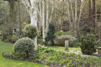 Parterre de fleurs de printemps dans John's Garden à Ashwood Nurseries - Kingswinford - Printemps