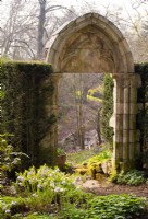 Hellébores autour d'une arche du XIIIe siècle et descend jusqu'à un ruisseau à Thenford Arboretum