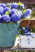 Détail d'une nature morte à l'extérieur dans le jardin de printemps. Un seau avec le décoratif et parfumé Hyacinthus orientalis 'Delft Blue', un pot en porcelaine avec Scilla siberica. Mise au point sélective.