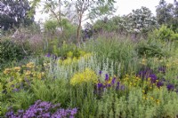 RHS Garden pour un avenir vert, RHS Hampton Court Palace Garden Festival 2021