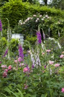 Vue sur jardin en été avec digitales, Rosa 'Boscobel' et une ruche Juin