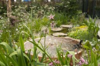 Fontaine et ruisseau dans 'The Hide Garden' au RHS Malvern Spring Festival 2022 - Designer - Emily Crowley-Wroe - Best in Show - Silver Gilt Medal