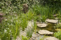 Ruisseau et fleurs sauvages dans 'The Hide Garden' au RHS Malvern Spring Festival 2022 - Designer - Emily Crowley-Wroe - Best in Show - Silver Gilt Medal