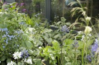 Parterres de fleurs à thème bleu et blanc dans le jardin 'The Vitamin G' au RHS Malvern Spring Festival 2022 - Designer Alan Williams