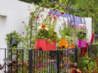 Le Cirrus Garden montrant des jardinières lumineuses et vibrantes et une arche de rose - RHS Balcony Garden 2022
