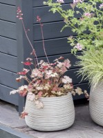 Mandala, Méditation et Pleine Conscience Balcon et Pot Garden montrant des pots gris avec une plantation blanc pâle et rose