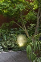 Un globe lumineux est immergé sous un Acer palmatum, au milieu de fougères feuillues.