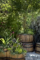 The Still Garden avec des planteurs de fûts de whisky écossais en bois récupérés avec des plantations mixtes indigènes dans un cadre en ardoise