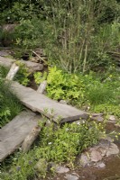 Vue sur la promenade en chêne récupérée dans A Rewilding Britain Landscape qui traverse la prairie des terres humides avec des plantes marginales et des fleurs sauvages indigènes - Concepteurs : Lulu Urquhart et Adam Hunt - Sponsor : Project Giving Back.