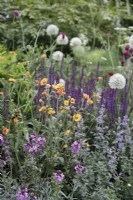 Geum 'Totally Tangerine' et Erysimum 'Bowles Mauve' dans les studios BBC Our Green Planet et RHS Bee Garden - Designer : Joe Swift.