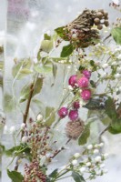 Gros plan sur des fleurs, des feuilles et des pommes de pin gelées dans la glace dans le jardin de glace du Plantman - Concepteur : John Warland - Sponsor : The Plantman and Co.
