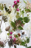 Gros plan sur des fleurs, des feuilles et des pommes de pin gelées dans la glace dans le jardin de glace du Plantman - Concepteur : John Warland - Sponsor : The Plantman and Co.