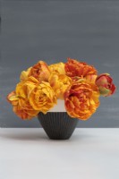 Tulipe 'Sunlover' dans un vase