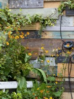 Repensez le jardin avec des articles réutilisés tels que des canettes et du bois avec des verts et des oranges vibrants dans la plantation
