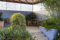 Escalier menant à un coin salon couvert avec une jardinière surélevée avec un aulne nerprun, Rhamnus frangula 'Aspenlenifolia' et de l'autre côté Pittosporum 'Elizabeth' - SSAFA Sanctuary Garden