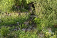 Prairie de zones humides naturelles avec promenade en bois et plantes indigènes, y compris Digitalis et Salix - Un paysage de Grande-Bretagne rewilding