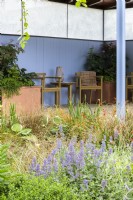 Jardin avec coin salon couvert à côté d'un étang planté d'Iris 'White Swirl', de Carex et de Nepeta 'Summer Magic' reflétant des murs bleus - SSAFA Sanctuary Garden.