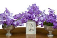 HM The Queen's Platinum Jubilee Orchid V. Janet McDonald X 'Vanda' coerulae nouvelle croix hybride sur fond blanc RHS Chelsea Flower Show 2022