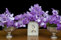 HM The Queen's Platinum Jubilee Orchid V. Janet McDonald X 'Vanda' coerulae nouvelle croix hybride sur fond noir RHS Chelsea Flower Show 2022
