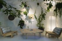 Jardin intérieur aérien dans une salle blanche avec table et chaise en bois moderne rectangulaire - A Room To Dance Studio