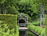L'Upper Rill Garden à Wollerton Old Hall Garden avec Carpinus betulus 'Frans Fontaine', charme européen, et Buxus sempervirens, buis ou buis, coupés en boules.